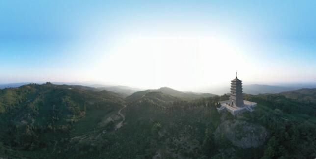 有关于随县草店镇：茶园春意闹 静待茶香飘的资讯(4)