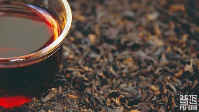 关于“2023茶产业发展”“微观普洱茶价值”“陈年紧压白茶团体标准”的相关内容(3)