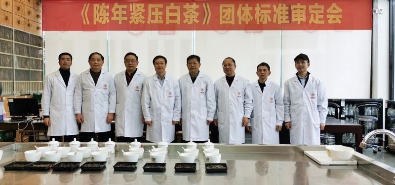 关于“2023茶产业发展”“微观普洱茶价值”“陈年紧压白茶团体标准”的相关内容(1)