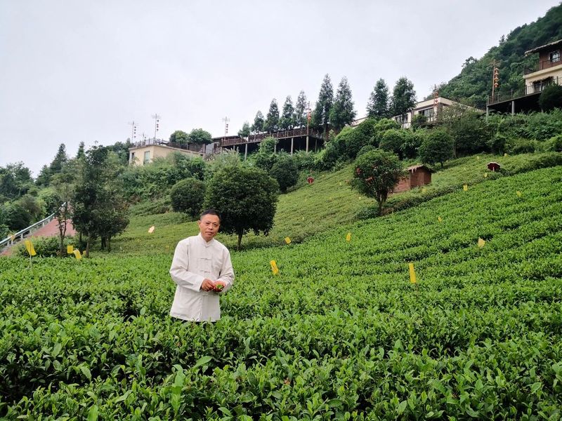 关于2022年度贵州省优秀茶品牌营销推广者的相关内容(5)