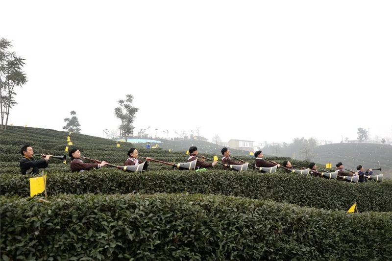 有关于万众瞩目！2023年第十六届中国·宜宾早茶节在筠连开幕的新闻(2)