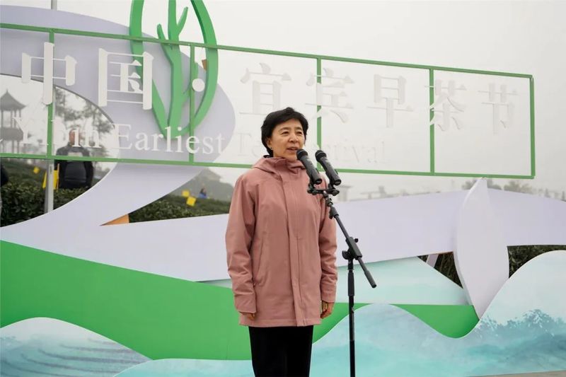 有关于万众瞩目！2023年第十六届中国·宜宾早茶节在筠连开幕的新闻(1)