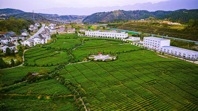 有关于第十八届中国茶业经济年会将在咸阳举办的相关内容(2)