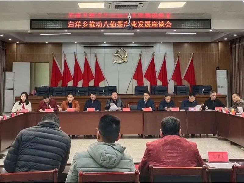 有关于福建白洋乡：共话茶业新发展 谱写产业新篇章的消息