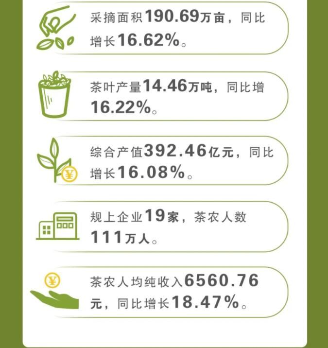 有关于晒出成绩单，制定新目标！一图看懂普洱茶产业发展→的新闻(2)