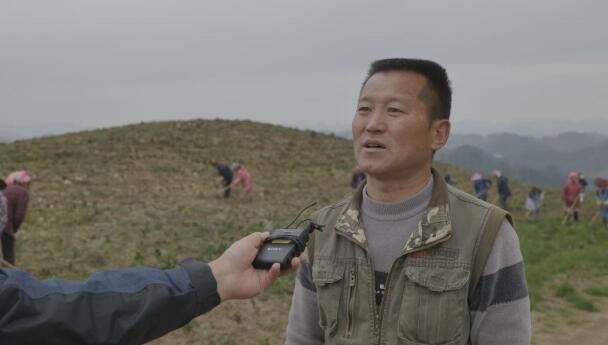 有关于紫云县坝羊镇：春耕正当时 茶园管护忙的信息(2)