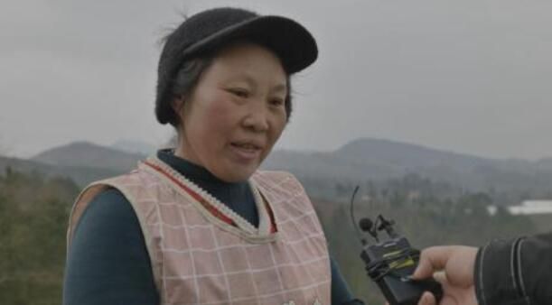 有关于紫云县坝羊镇：春耕正当时 茶园管护忙的信息(4)