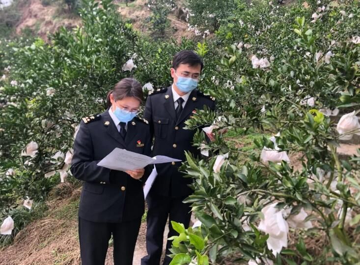 有关于四川省今年首趟茶叶专列抵达乌兹别克斯坦的消息(2)