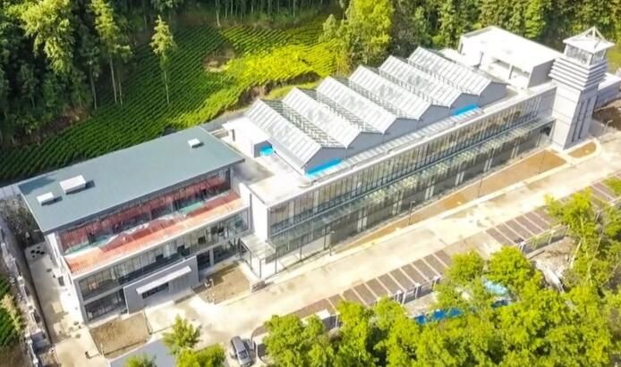 关于发挥数字经济优势，金恪集团推动贵州茶产业升级的新闻(1)