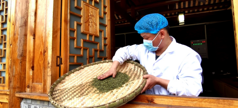 有关于鲜香清爽 夹江春茶开采啦！的相关内容(3)