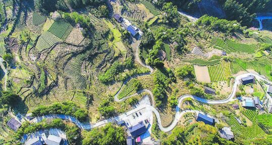 有关于恩施市 古韵新景头茶园的相关信息