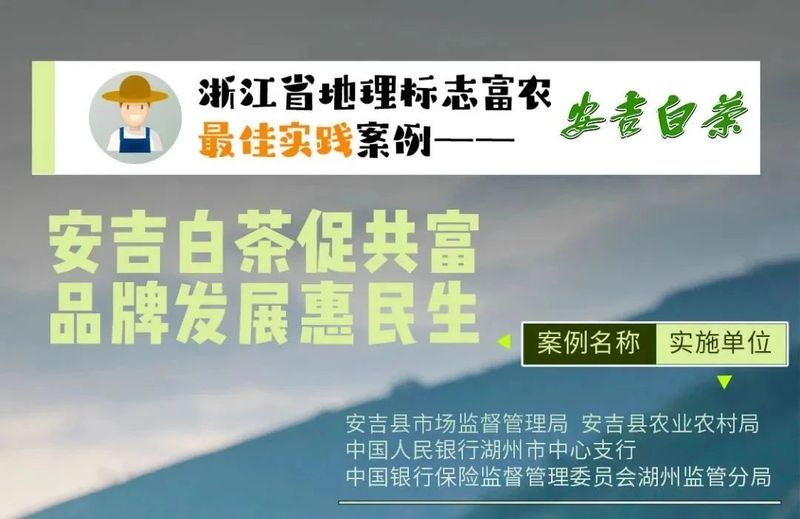 关于安吉白茶促共富 品牌发展惠民生的新闻