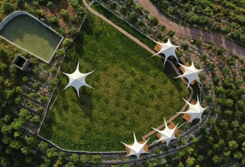 有关于旅游业大规模复苏！后疫情时代，茶文旅情况如何？的内容(11)