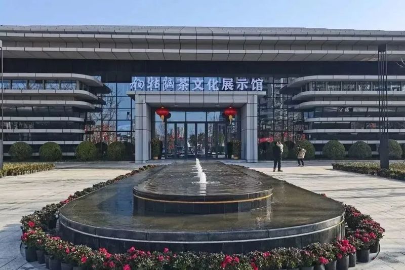 有关于旅游业大规模复苏！后疫情时代，茶文旅情况如何？的内容(7)