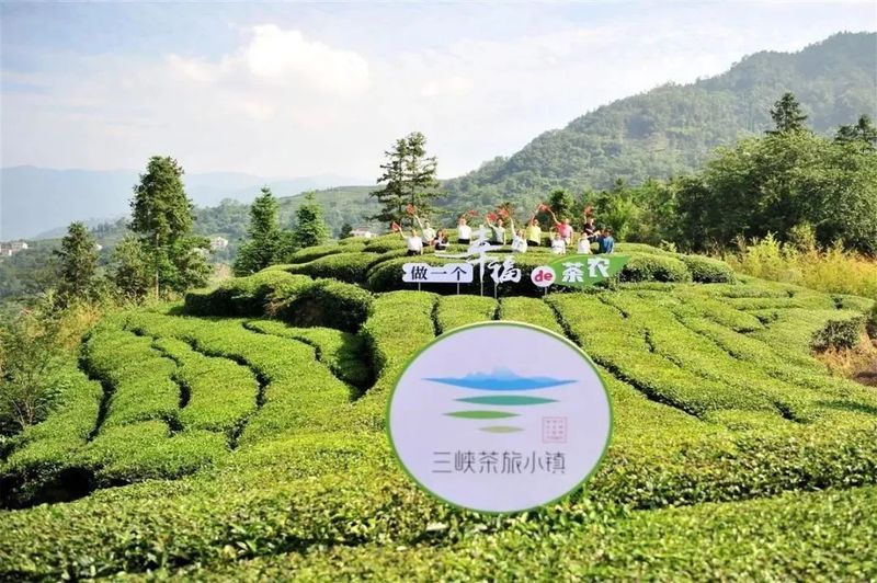 有关于旅游业大规模复苏！后疫情时代，茶文旅情况如何？的内容(19)