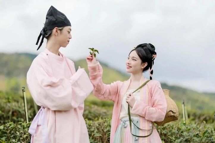 关于“华夏春早 雨林茶香” 2023年海南（五指山）早春茶开采节举办的最新消息(6)