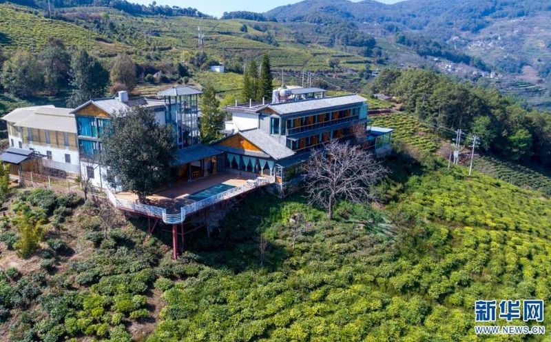 有关于云南南涧：茶产业助力乡村振兴的消息(3)