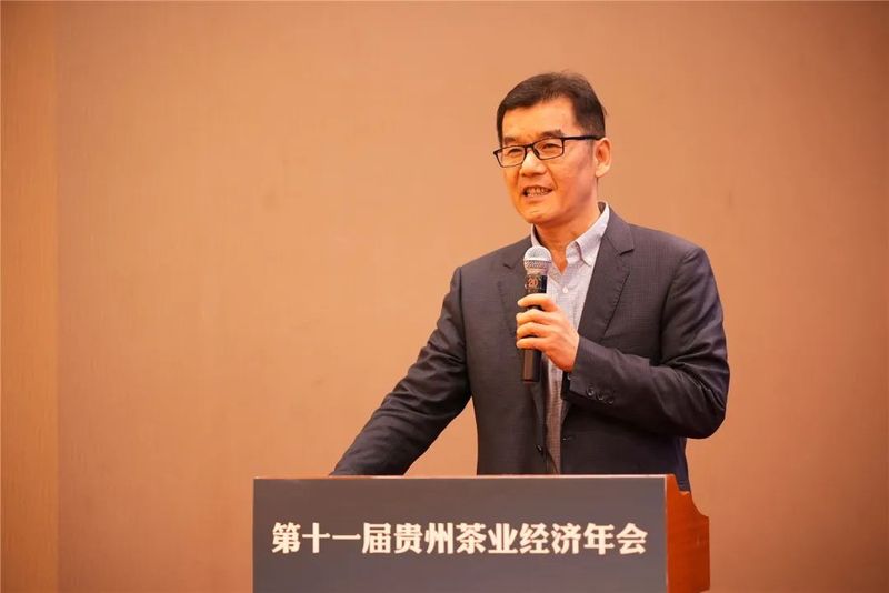 关于探索茶业发展新机遇！第十一届贵州茶业经济年会究竟催生了多少可能？的消息(6)
