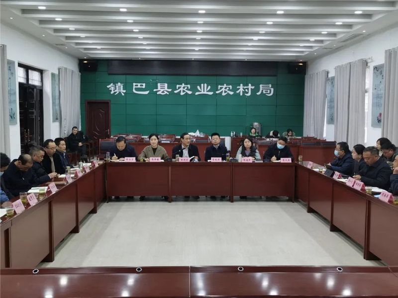 有关于镇巴召开“镇巴毛尖”区域公共品牌提案汇报会的消息