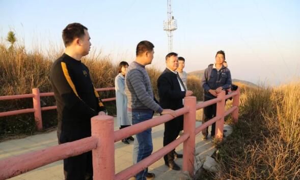 关于李金发到那阳镇调研六堡茶产业发展的资讯(3)