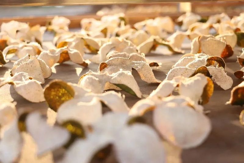 关于真没想到！《狂飙》中的隐藏主角是茶！的新闻(3)