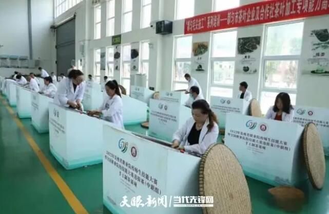 关于“都匀毛尖技工”助力茶产业高质量发展的资讯