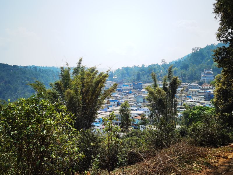 有关于2023年勐海普洱春茶毛料价格的最新消息