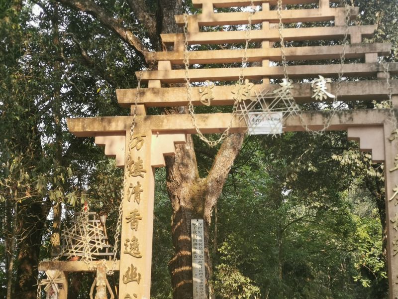 有关于2023年勐海普洱春茶毛料价格的最新消息(1)