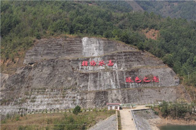 关于2023年春茶什么时候上市，普洱春茶2023价格多少钱的相关信息(4)