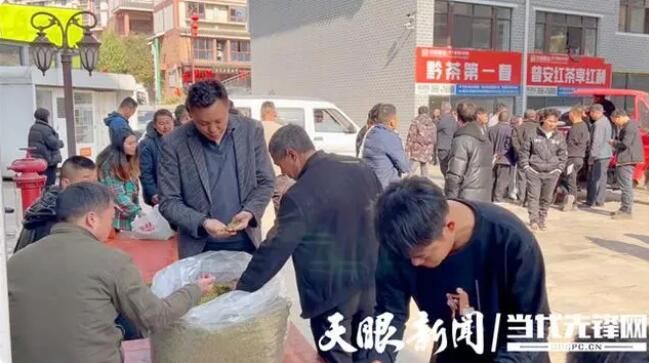 有关于普安:4万多亩春茶陆续采摘上市 产销两旺领“鲜”市场的资讯(3)