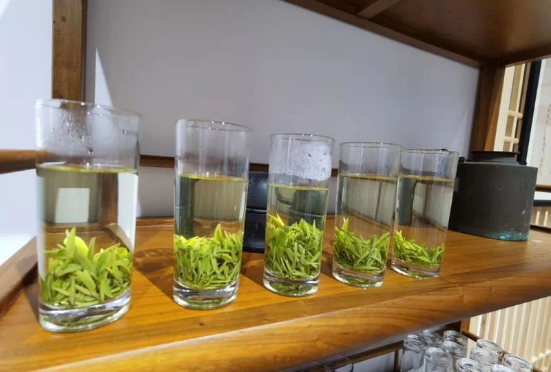 关于旌德县茶叶行业协会举行天山真香高质量发展交流座谈会的相关内容(1)