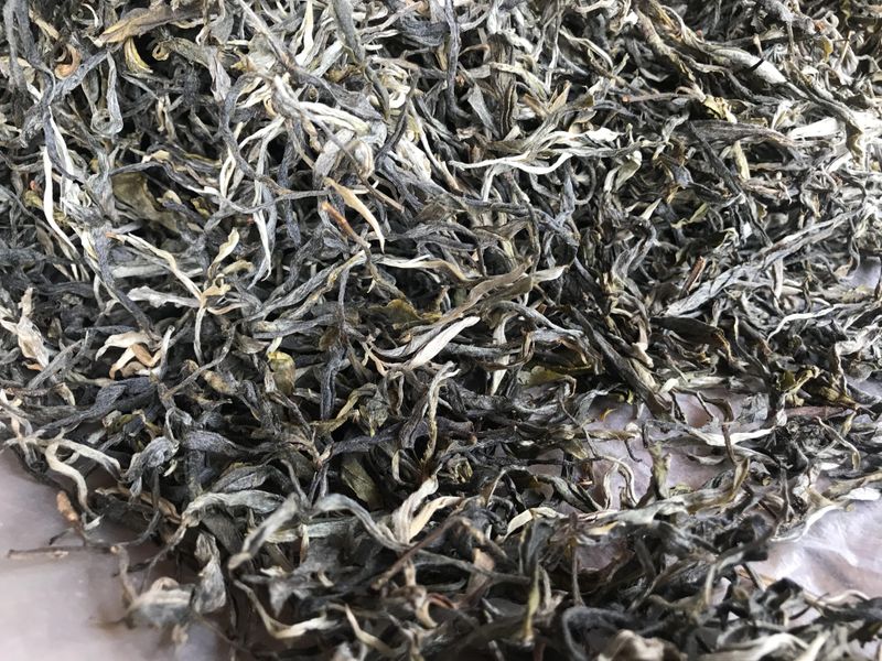 有关于2023年易武香椿林古树茶春茶价格的消息(3)