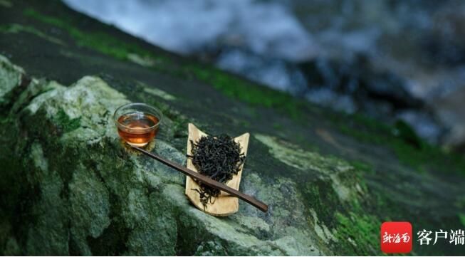 关于2023年海南（五指山）早春茶开采节2月4日开启的最新消息(1)