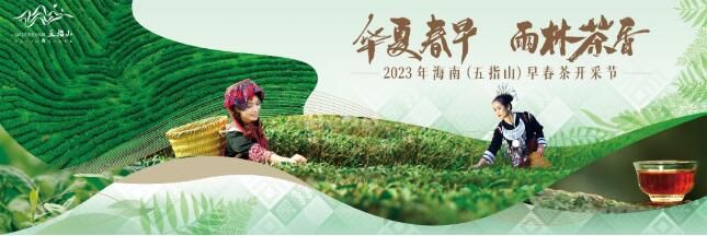 关于2023年海南（五指山）早春茶开采节2月4日开启的最新消息(2)