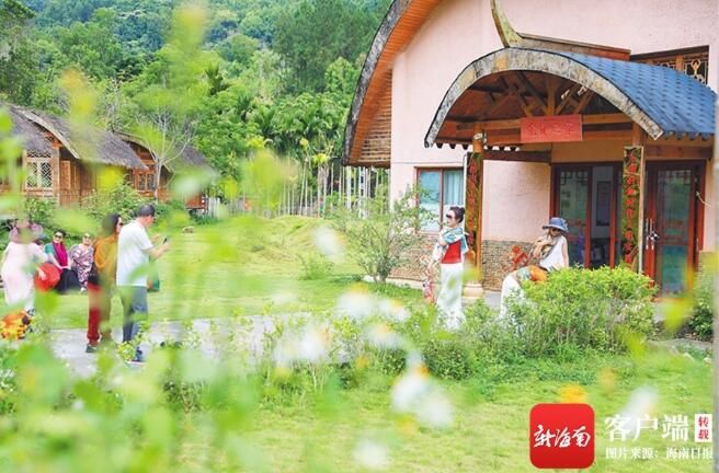 关于白沙原生态茶园小镇万亩茶园基地进入早春茶采摘的相关内容