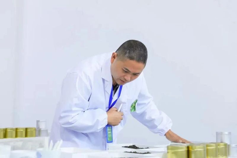 有关于2022年浙江武义县茶产业年度盘点的新闻(5)