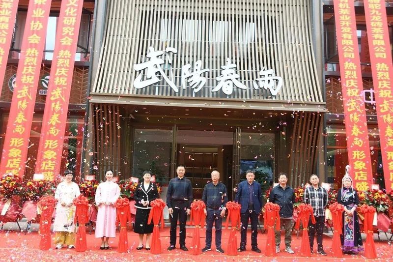 有关于2022年浙江武义县茶产业年度盘点的新闻(6)