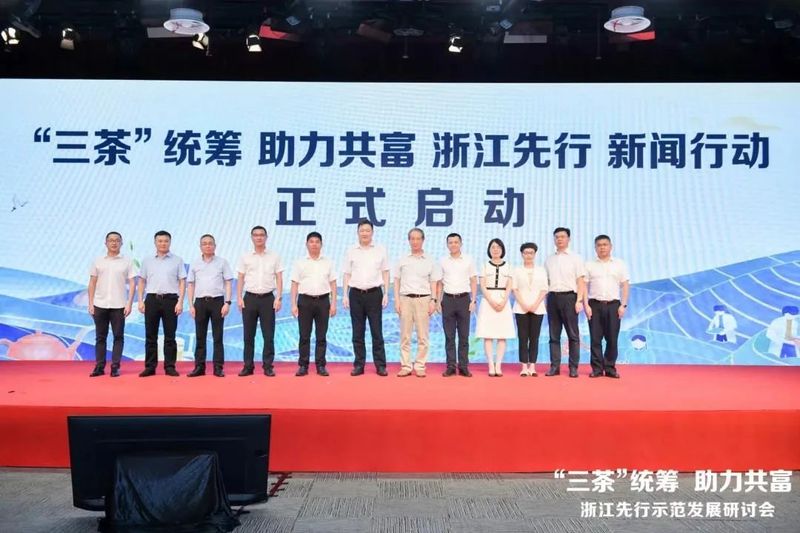 有关于2022年浙江武义县茶产业年度盘点的新闻(9)