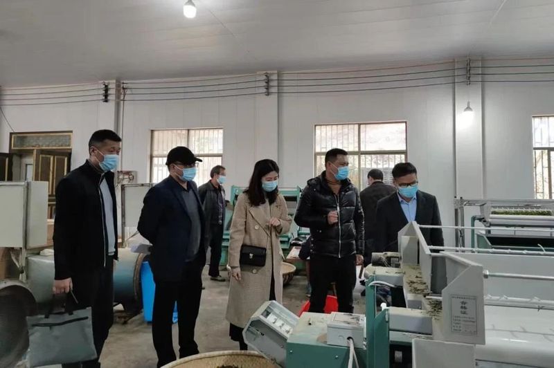 有关于2022年浙江武义县茶产业年度盘点的新闻(18)
