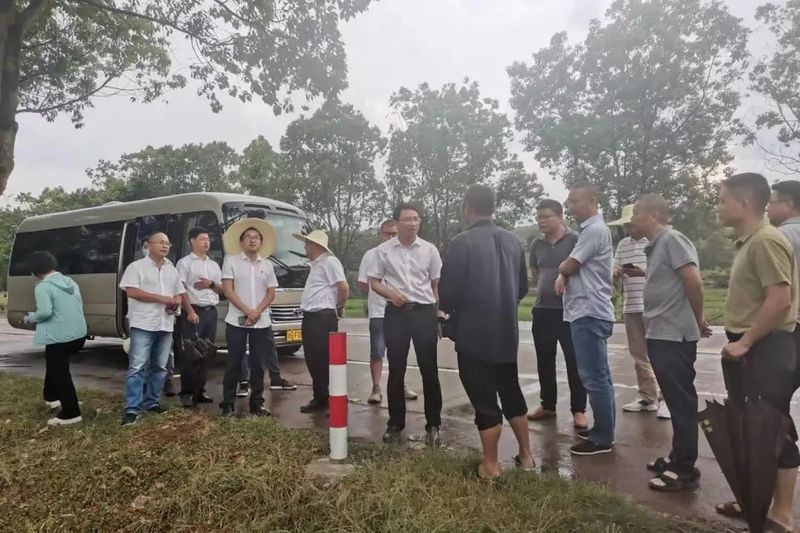 有关于2022年浙江武义县茶产业年度盘点的新闻(20)