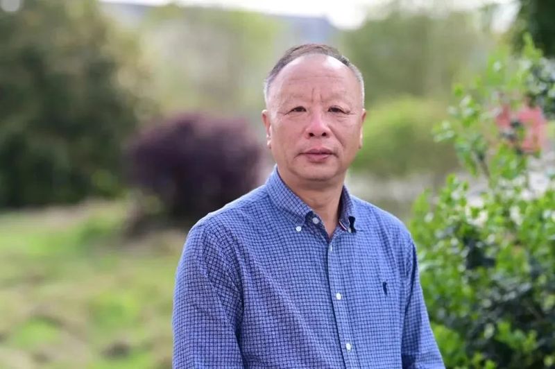 有关于2022年浙江武义县茶产业年度盘点的新闻(1)