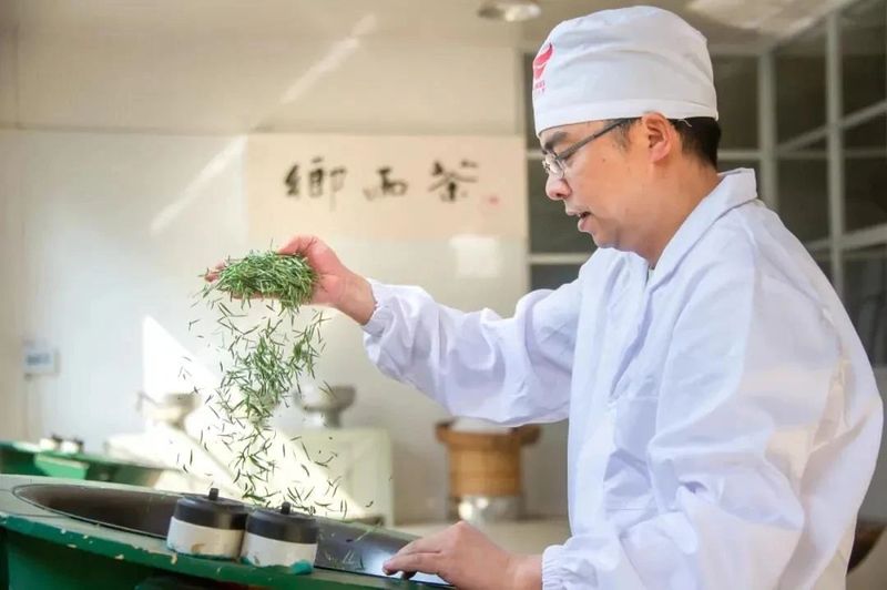 有关于2022年浙江武义县茶产业年度盘点的新闻(2)