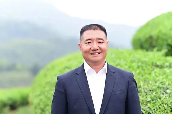 有关于2022年浙江武义县茶产业年度盘点的新闻