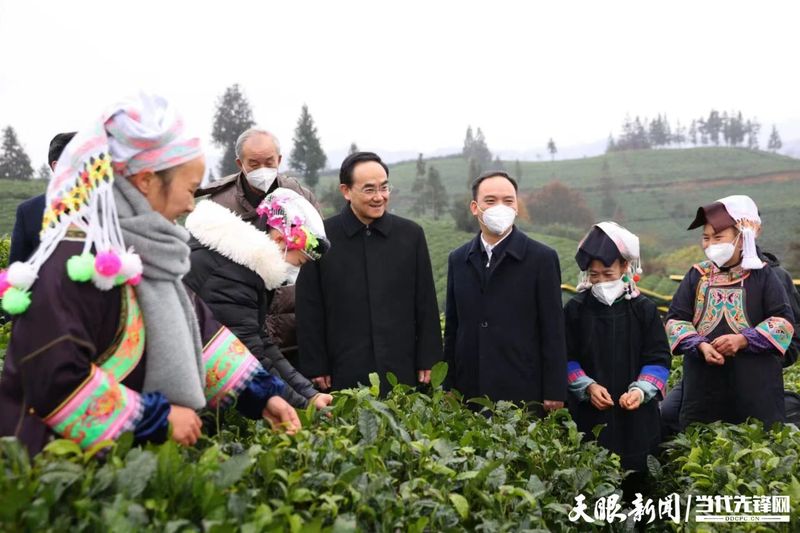 有关于1月茶情：黔绿迎春归 早春茶飘香的消息(3)