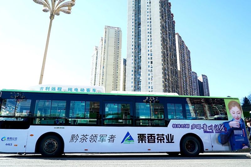 有关于1月茶情：黔绿迎春归 早春茶飘香的消息(7)