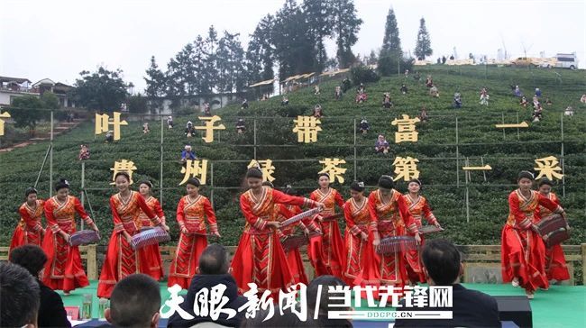 有关于1月茶情：黔绿迎春归 早春茶飘香的消息