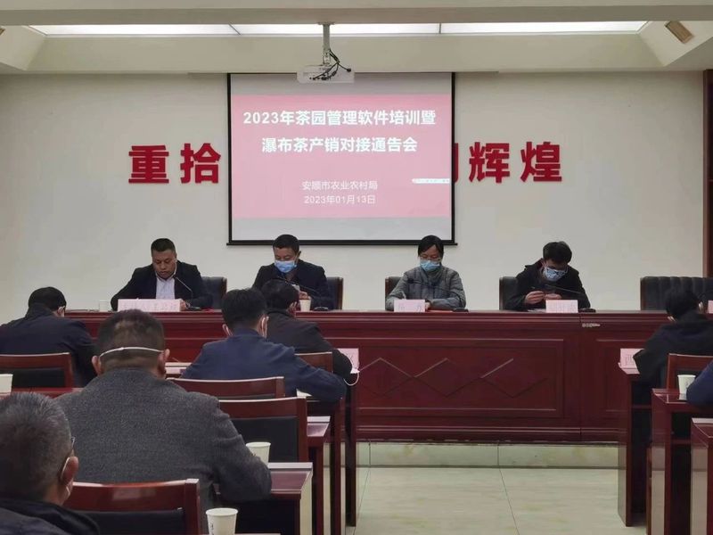 有关于1月茶情：黔绿迎春归 早春茶飘香的消息(10)