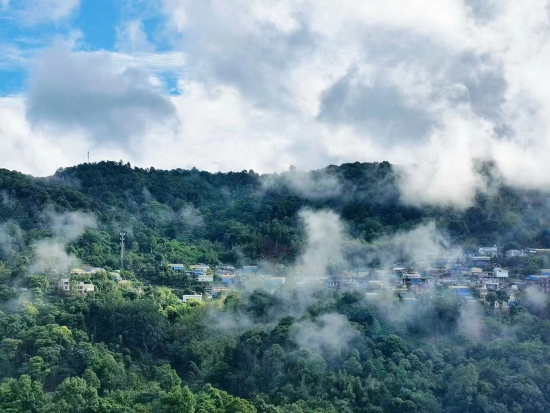 关于格朗和乡半坡老寨：古茶园里蹚出致富路的信息