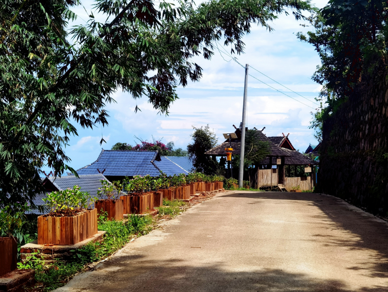 关于格朗和乡半坡老寨：古茶园里蹚出致富路的信息(1)