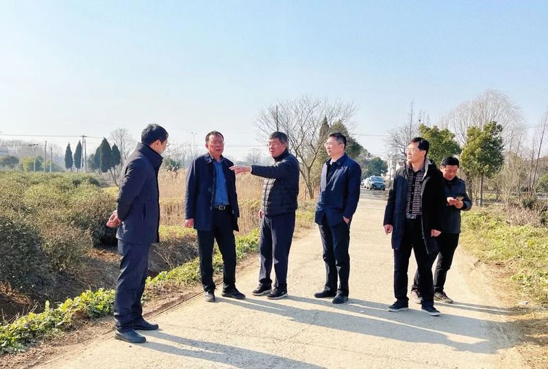 关于江苏省茶叶学会专家赴仪征考察交流茶产业的相关内容